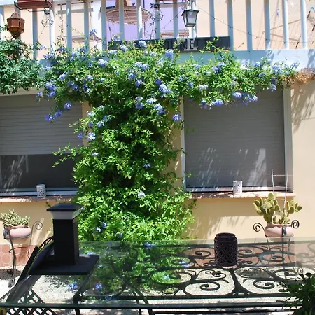 Apartment Le Pitchounet *
